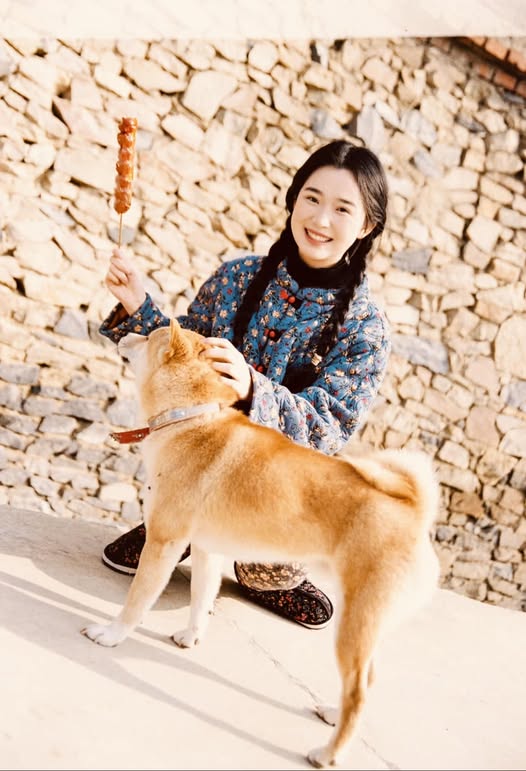 PHỒN HOA RỜI NÚI